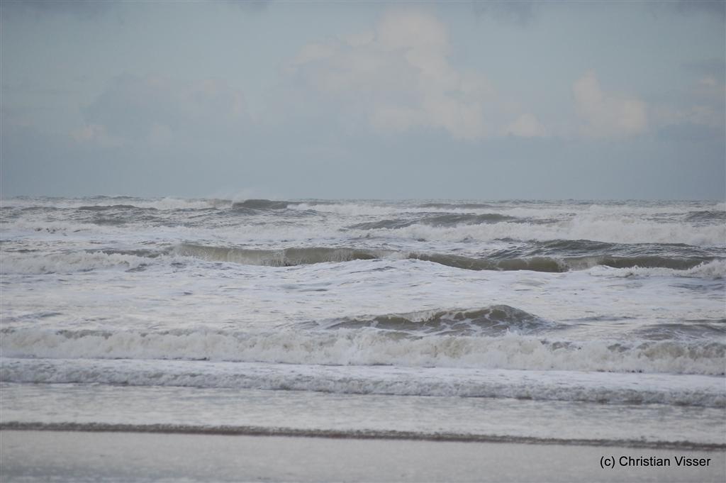 [DSC_0616 (Large)[2].jpg]