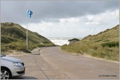IMG_0369 (Large)
