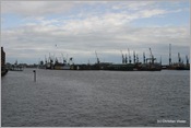 IMG_0519 (Large)