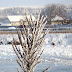 DSC01062.jpg, Casin, Moldova, Romania (december 2007)