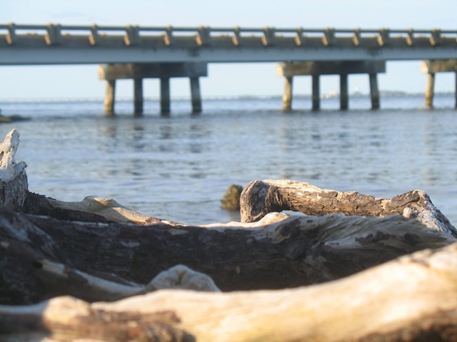 [IMG_67272.jpg]