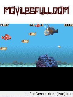 Finding Nemo