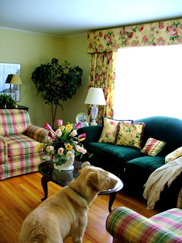 [2004_0416Image0023[3].jpg]