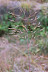 NORTH-EAST012.JPG