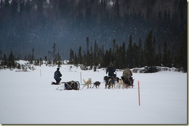 IMG_8178 IMG_8178