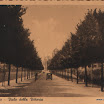 Lonigo_Vicenza_Foto.019.jpg
