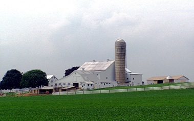 Amish farm #2