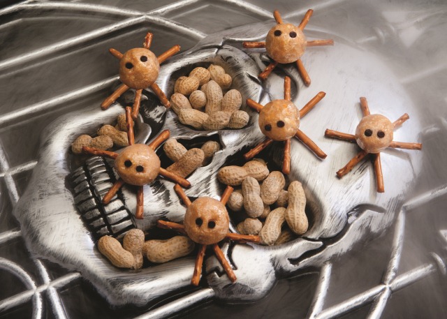[PnutSpiders2.jpg]