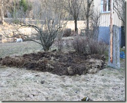 IMG_4412 IMG_4412