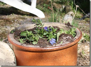 IMG_4434 IMG_4434