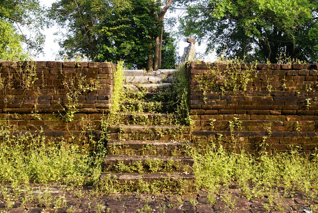 [DSC048963.jpg]