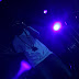 IMG_5547.JPG