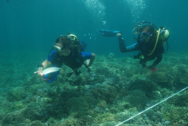 [03"15 DSC_1277[2].jpg]