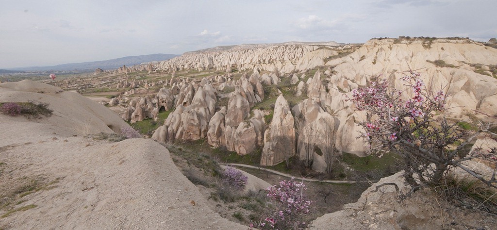 [Rose-Valley1[1].jpg]