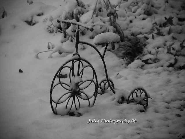 [SNOW! 036 edited[2].jpg]