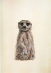 Jane Harbottle
