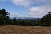 DSC03593.JPG