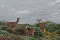 DSC03703.JPG