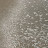 DSCF1039.JPG