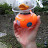 DSCF0963.JPG