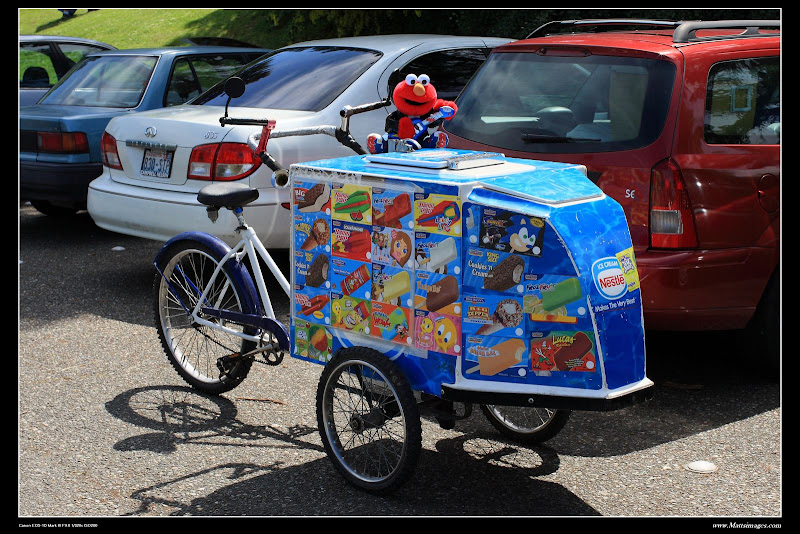 IMAGE: http://lh5.ggpht.com/_ux3BqxhvvGM/SDkgXujpP8I/AAAAAAAABhg/y3z8PbJI88s/s800/7W0J0251.JPG