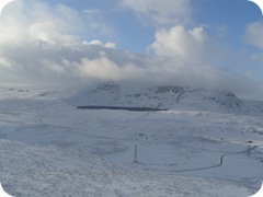S1053954