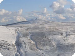 S1054492