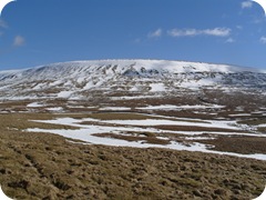 S1054687