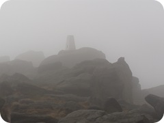 S1054838