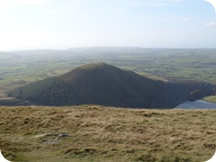 S1053136