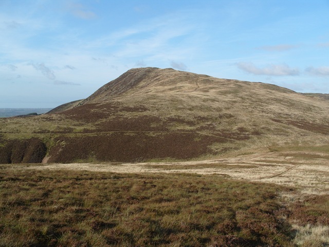 [S10531528.jpg]