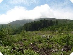 S1055539