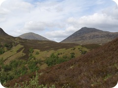 S1055587