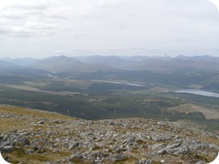 S1055632