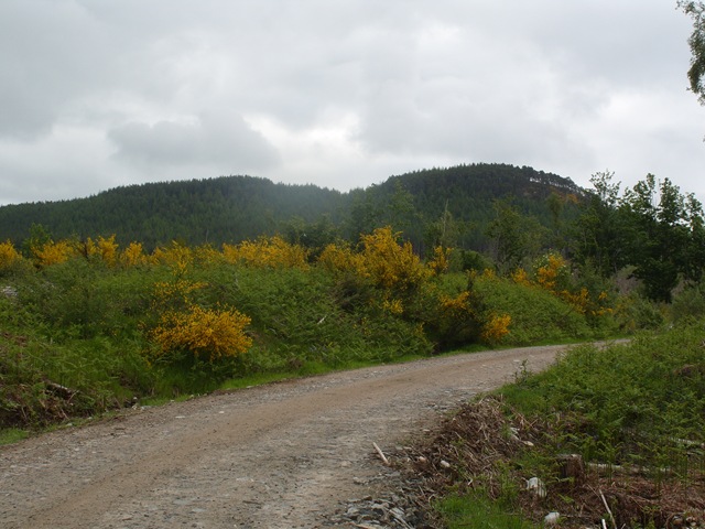 [S10561023.jpg]