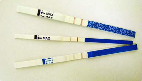gravidez 003