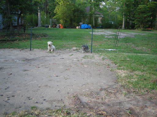 Places in the Yard