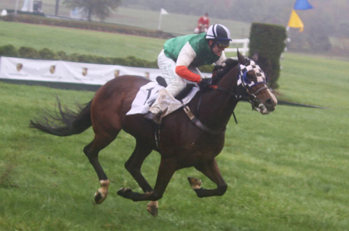 Gordon Stakes Horse Racing