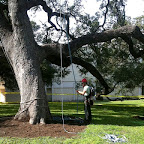 getting ready to go up.