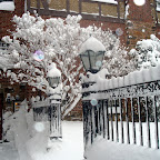DSC04370.JPG