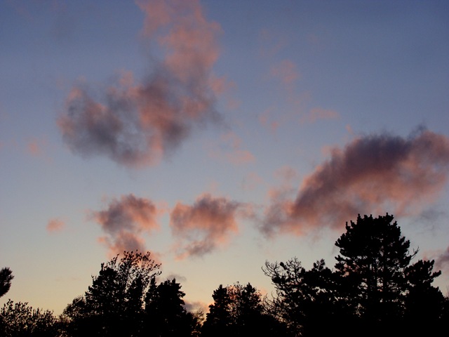 [Schubie CG Sunset After Earl[5].jpg]