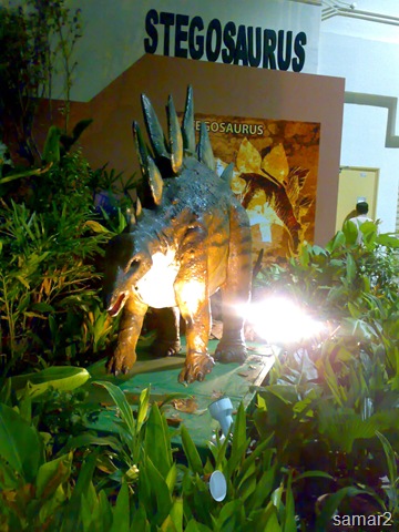 [020520097813.jpg]