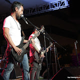IMG_7963 (Large).JPG
