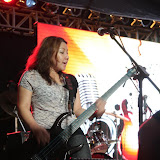 IMG_7915 (Large).JPG