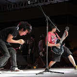 IMG_7824 (Large).JPG