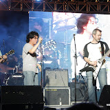 IMG_7782 (Large).JPG
