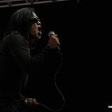 IMG_7464 (Large).JPG