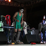 IMG_7335 (Large).JPG