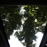 IMG_8536 [1600x1200].JPG