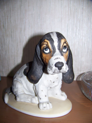 grey and blue plott hounds